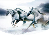 省内排行前十，设计、施工实力排前